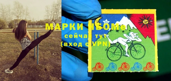 дмт Белокуриха