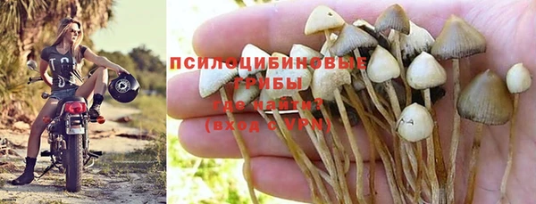 ПСИЛОЦИБИНОВЫЕ ГРИБЫ Балахна