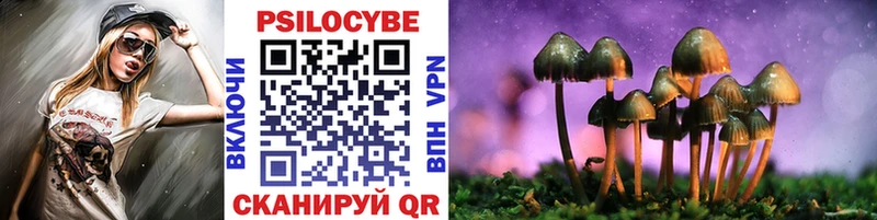 Псилоцибиновые грибы Psilocybe  закладка  мега онион  Ногинск 